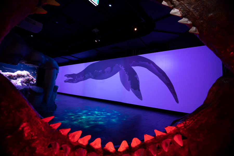 Method NZ shoots Sea Life AU M+AD! Method NZ shoots Sea Life AU M+AD!