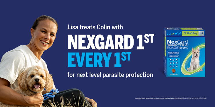 NexGard turns the first of every month into a pet protection reminder